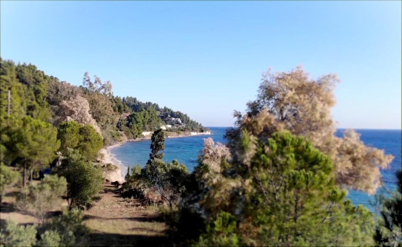 Ihouse Nea Skioni Dış mekan fotoğraf